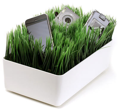 grassy_lawn_charging_station